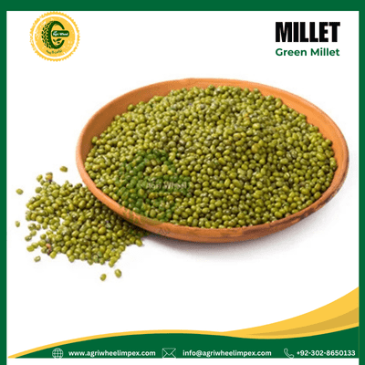 Green Millet