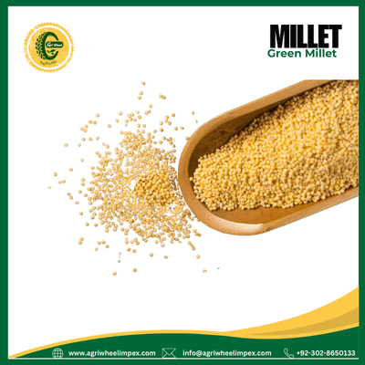 Golden Millet